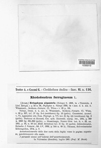 Image Associated With the Occurence